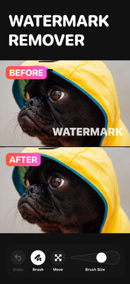 Watermark Remover